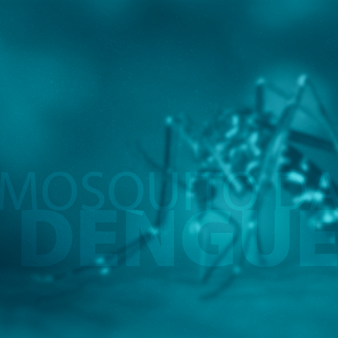 Alerta para o combate ao mosquito Aedes argypti.